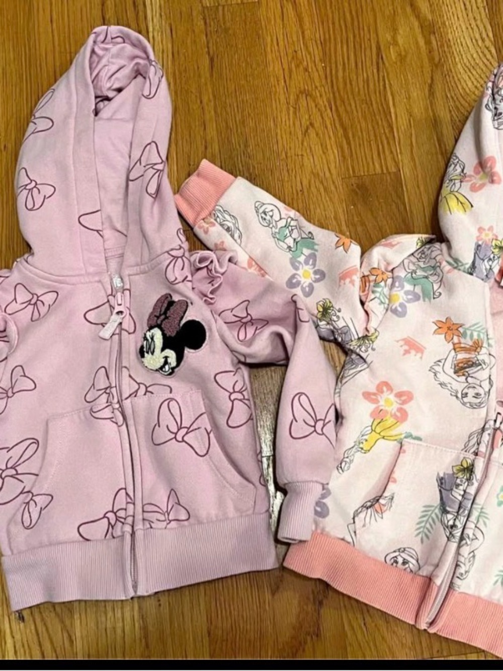 Disney Minnie Mouse and Princess Hoodies